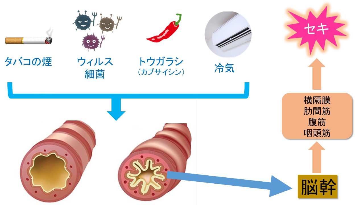 が 原因 痰 絡む